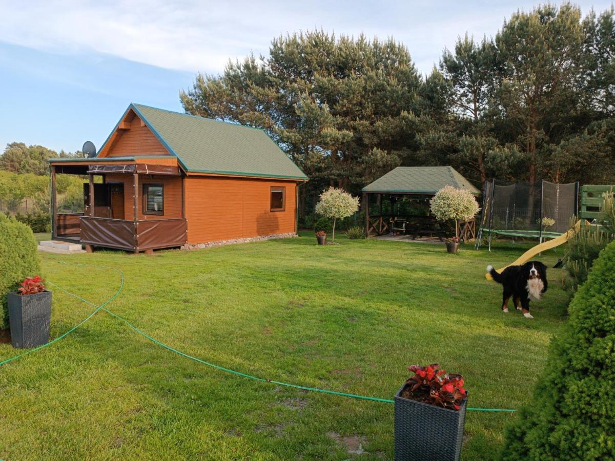 Villa U Benka Wisełka Esterno foto