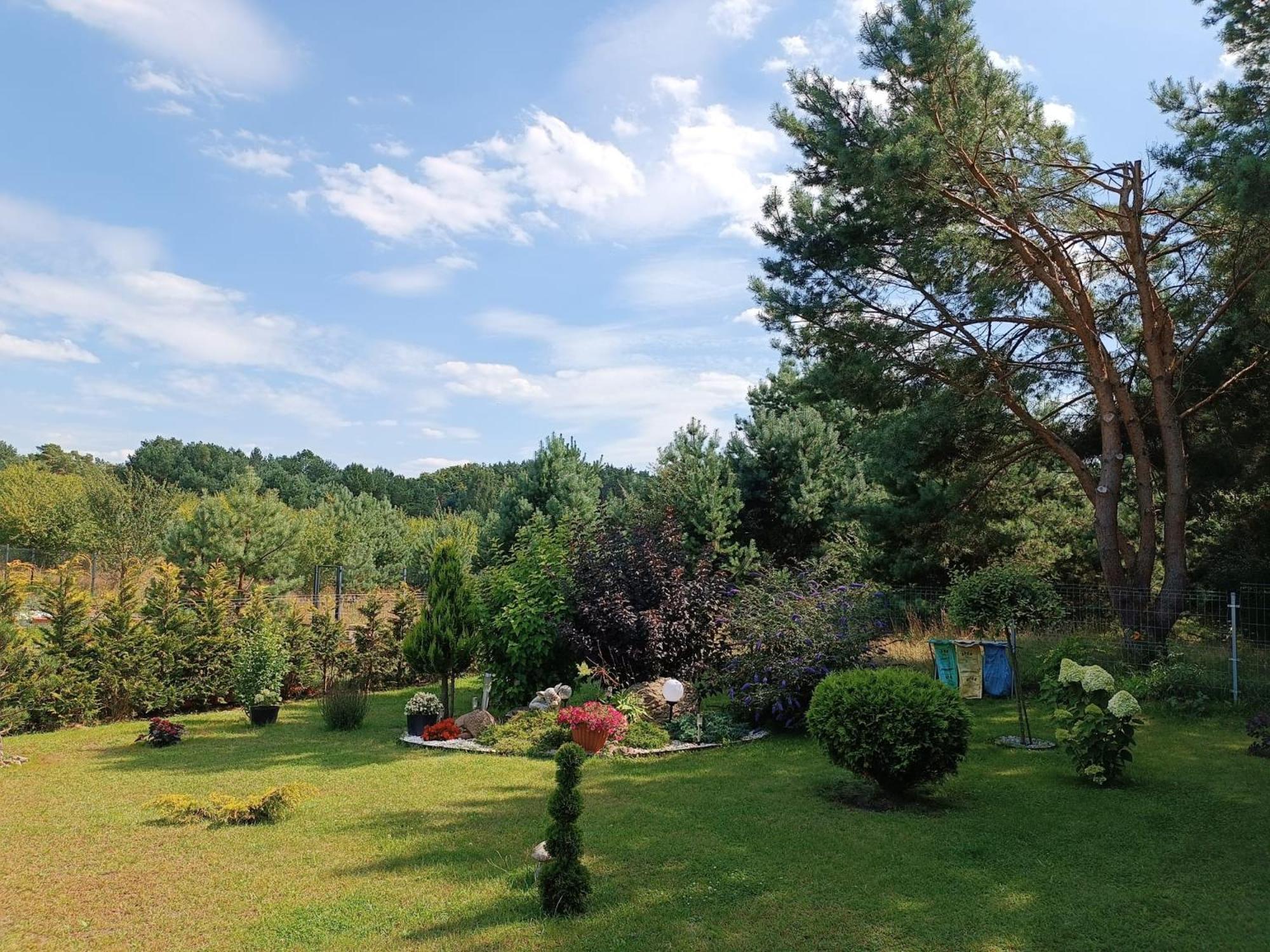 Villa U Benka Wisełka Esterno foto